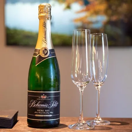 Hranicni Zamecek 酒店